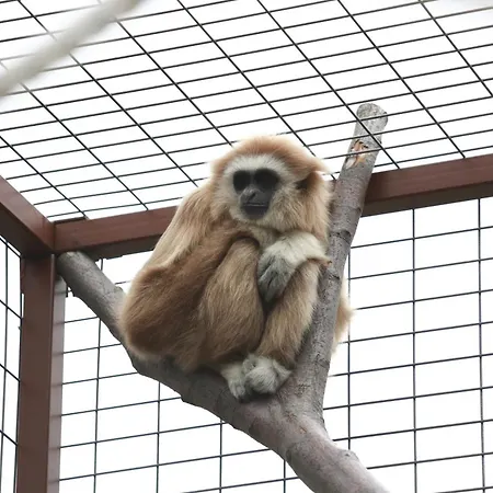 Faunapark Lipová-lázně Penzion Lipová-lázně