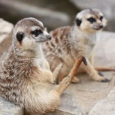 Faunapark Lipová-lázně Lipová-lázně